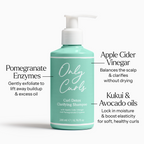 Only Curls Curl Detox Clarifying Shampoo - Only Curls